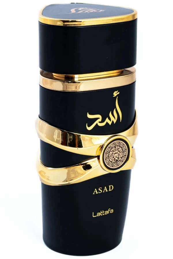 Asad Lattafa - Image 6